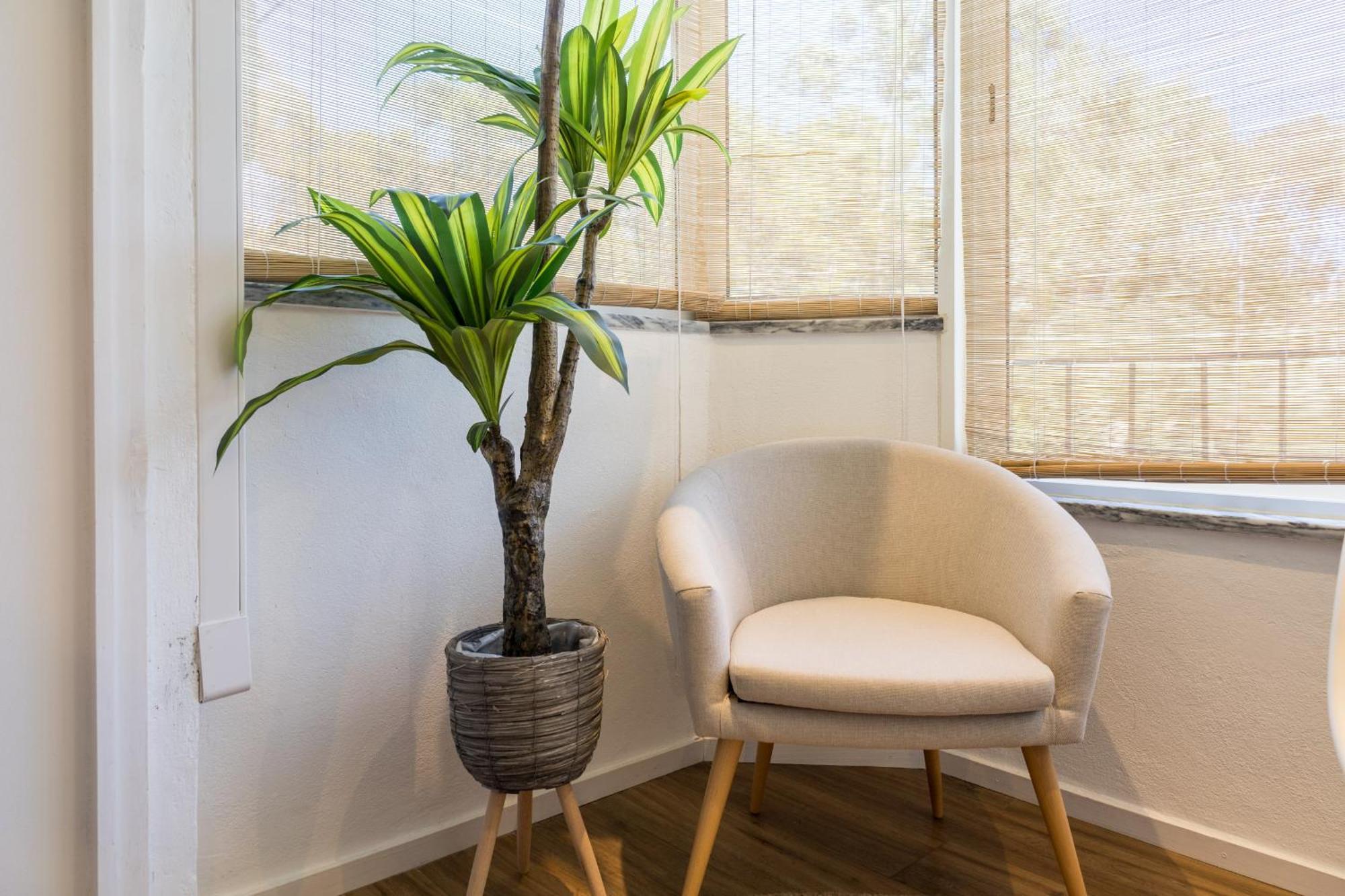 Beguest Cascais Cozy Studio Dış mekan fotoğraf